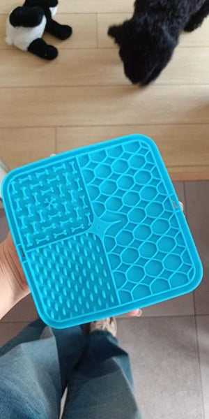 A5b8b4522a4534811a1f91036b2668f7b0.jpg