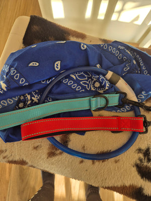Adf73156417cc4be09550c3e610f395f0y.jpg
