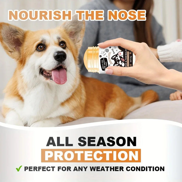 Paw & Snout Comfort Cream