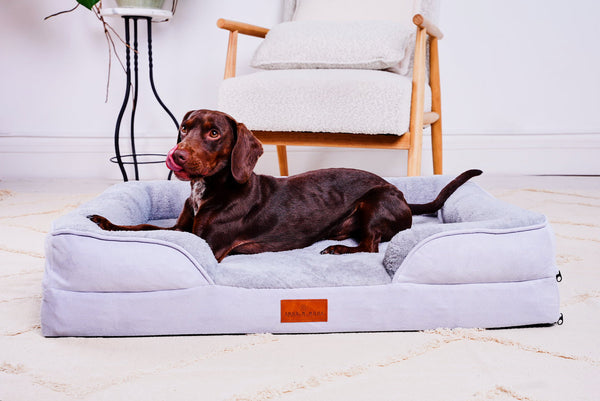 Cozy Orthopedic Pet Couch