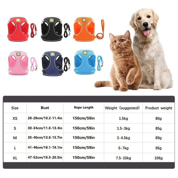 Reflective Pet Comfort Set