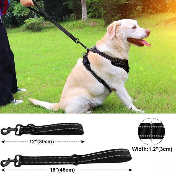 Reflective Dog Walking Leash