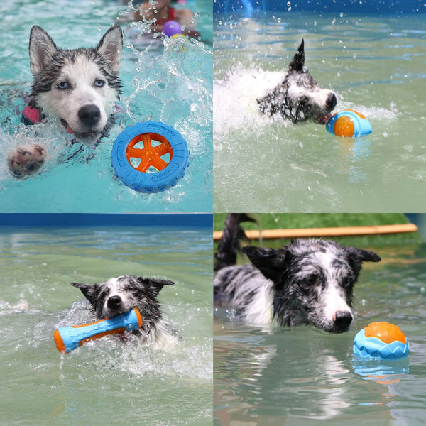 Durable Chew Toys for Big Dogs