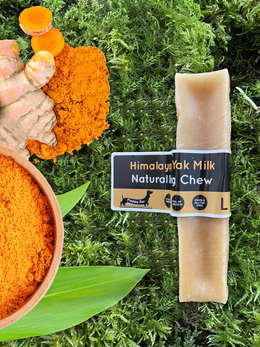 Turmeric Yak Dog Chew Delight