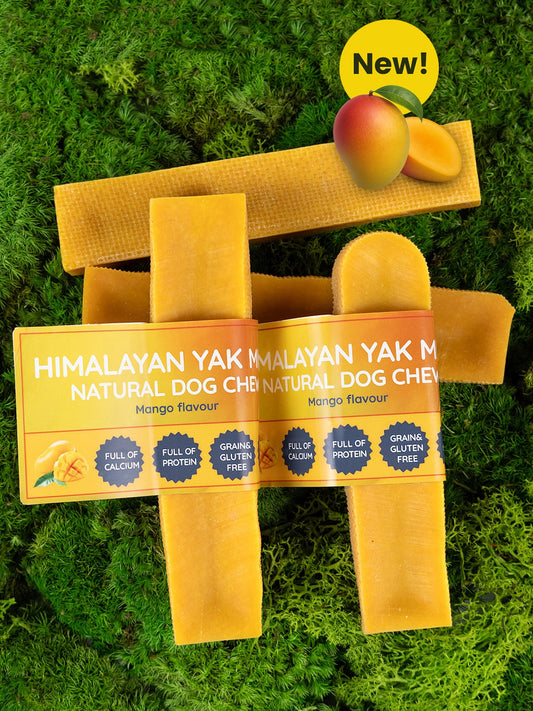 Mango Yak Dog Chew Delight