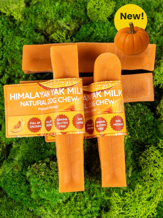 Pumpkin Yak Chews for Dogs